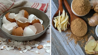 Make Your Own Supplements