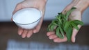 Artificial Sweeteners: Long-Term Effects