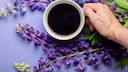 Coffee and Lupins