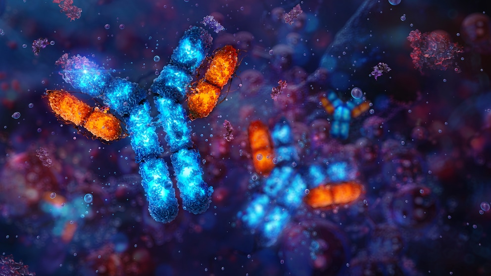The body fights against itself: A concise explanation of early symptoms that may indicate autoimmune diseases.