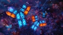 The body fights against itself: A concise explanation of early symptoms that may indicate autoimmune diseases.