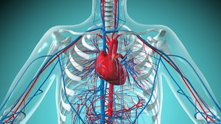 How Does Eating Yogurt Affect Blood Pressure?
