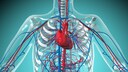 How Does Eating Yogurt Affect Blood Pressure?