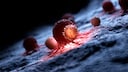 According to a major analysis, alcohol can significantly increase the risk of developing cancer.