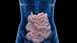 intestine