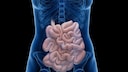 intestine