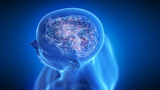 brain