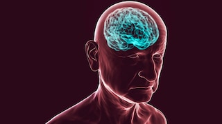 brain