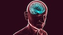 brain