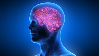 Lifestyle Factors and Dementia