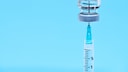 Alzheimer Vaccination