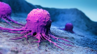 According to researchers, the active ingredient in Viagra might also help slow the progression of cancer.