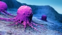 According to researchers, the active ingredient in Viagra might also help slow the progression of cancer.