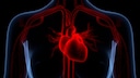 A case report reveals why a 65-year-old woman suddenly went to the hospital with chest pain after her daughter's wedding.