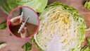 Salad with Cabbage, Cucumber, and Avocado Claims to Satisfy Like Ozempic: What's Behind the Trend?