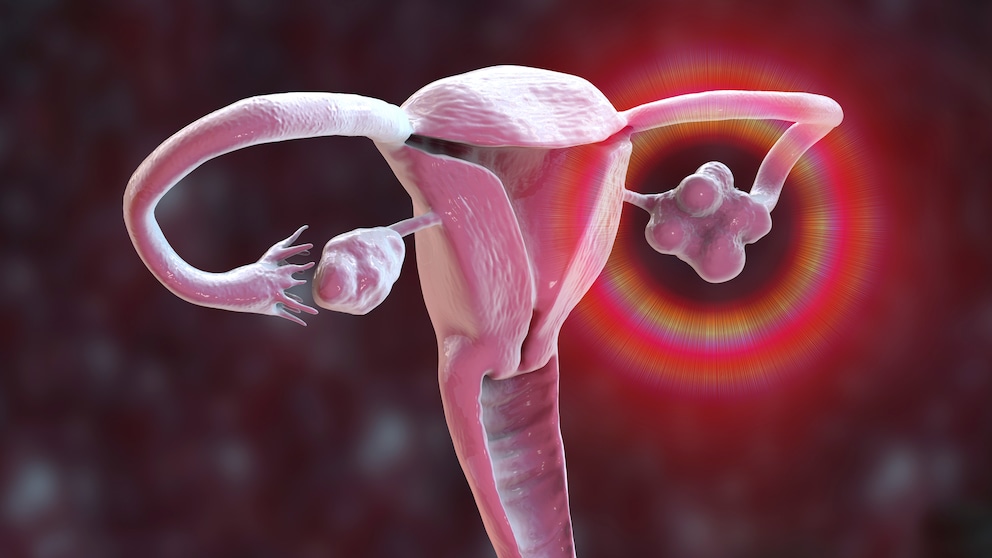 Ovaries take on another important function after menopause