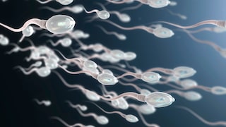 A recent study shows that fertility and body fat percentage are linked.