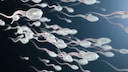 A recent study shows that fertility and body fat percentage are linked.