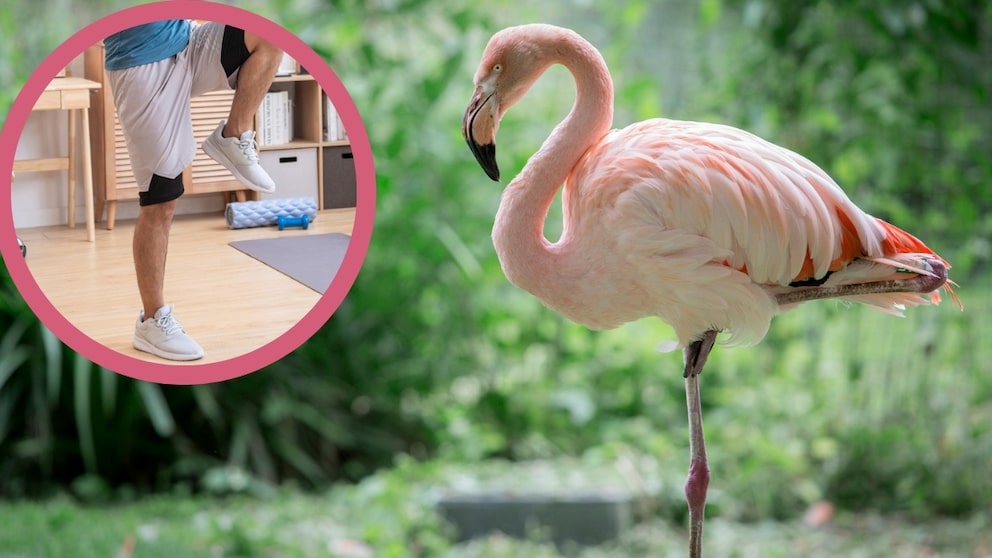The Flamingo Test is a balance test that reveals something about your mortality.