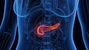 Pancreatic insufficiency manifests through seemingly harmless symptoms