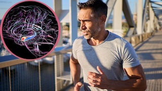 Recreational sports and physical labor appear to have different effects on dementia risk. A large meta-analysis provides insights.