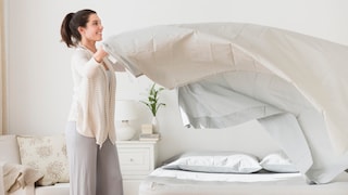 Microbiologist Explains Why Dogs Shouldn't Be Allowed in Bed