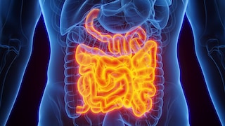 Intestinal Barrier