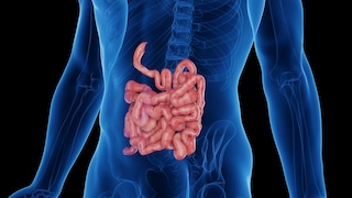Tips for a Healthy Gut