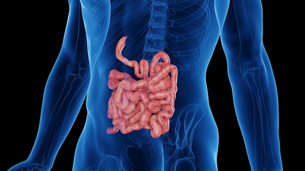 Tips for a Healthy Gut