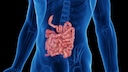 Tips for a Healthy Gut