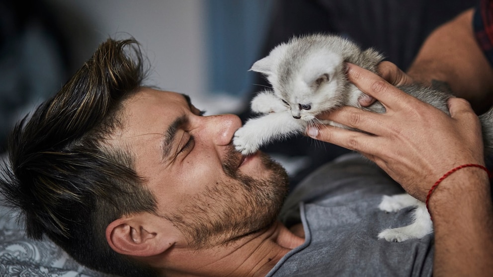 Do you enjoy cuddling with your cat?