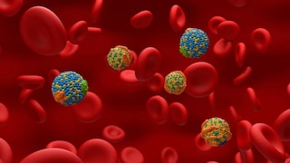 Blood lipids influence the risk of stroke and heart attack, particularly triglycerides and cholesterol.
