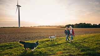 Women Walking Dogs in the Field