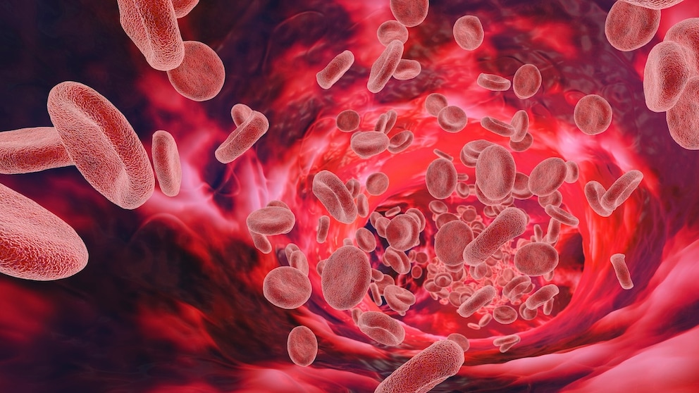 Blood Values Are Important