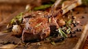 There is likely a connection between red meat and diabetes.