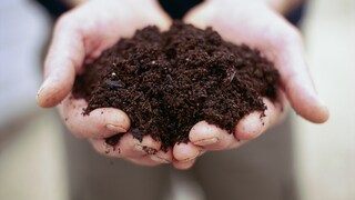 There are more microorganisms in one gram of soil than there are people in the world