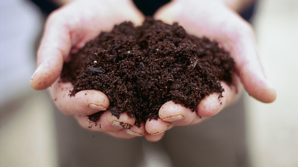 There are more microorganisms in one gram of soil than there are people in the world