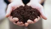 There are more microorganisms in one gram of soil than there are people in the world