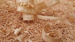 Does Pine Wood Help You Fall Asleep?