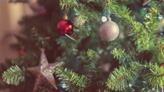 How to Keep Christmas Trees Fresh Longer