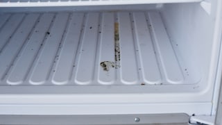 What to Do if Mold Has Formed in the Refrigerator