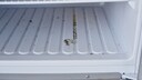 What to Do if Mold Has Formed in the Refrigerator