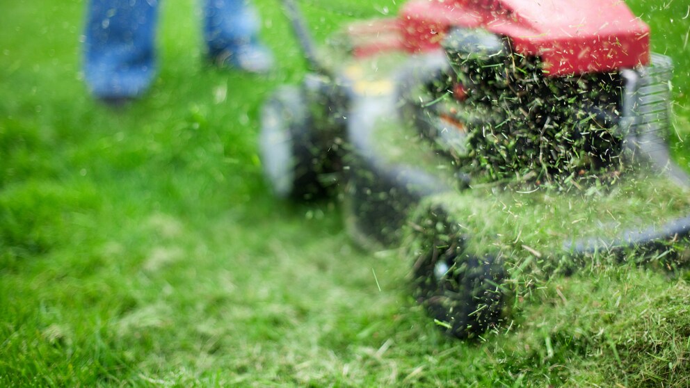Can you compost grass clippings?