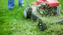 Can you compost grass clippings?