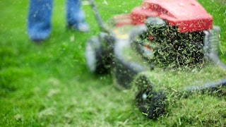 Can you compost grass clippings?