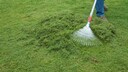 Ignite the grass clippings yourself: Using a rake to sweep grass clippings into a pile