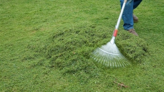 Ignite the grass clippings yourself: Using a rake to sweep grass clippings into a pile