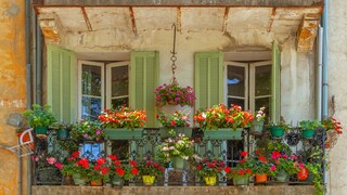 French balcony