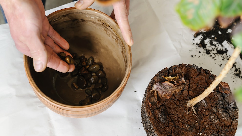 Life Hack for Drainage in a Flowerpot