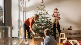 Family Sets Up Christmas Tree